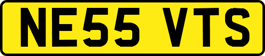 NE55VTS
