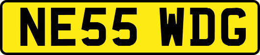 NE55WDG
