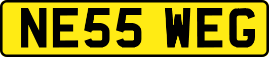 NE55WEG