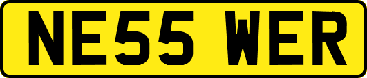 NE55WER
