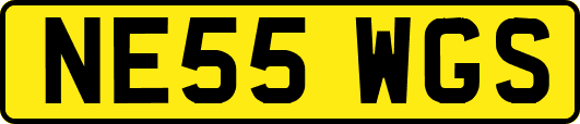 NE55WGS
