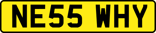 NE55WHY