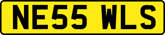 NE55WLS