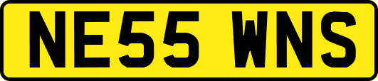 NE55WNS