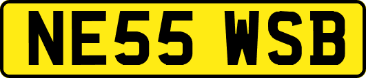 NE55WSB