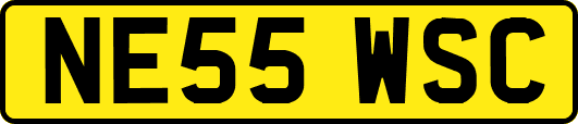 NE55WSC