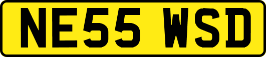 NE55WSD