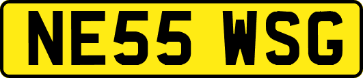 NE55WSG