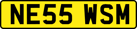 NE55WSM