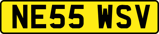 NE55WSV
