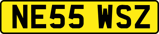 NE55WSZ