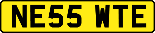 NE55WTE