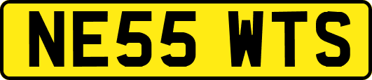 NE55WTS