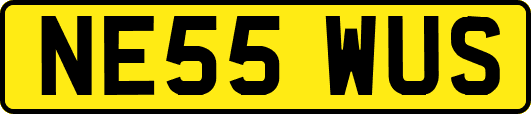 NE55WUS