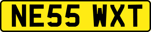 NE55WXT