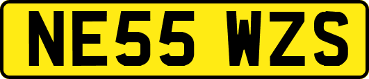 NE55WZS