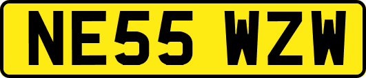 NE55WZW
