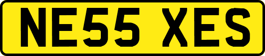 NE55XES