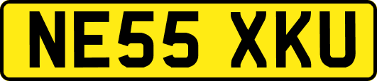 NE55XKU