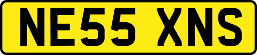 NE55XNS