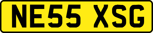 NE55XSG