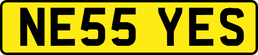NE55YES