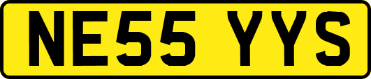 NE55YYS