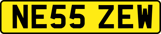 NE55ZEW