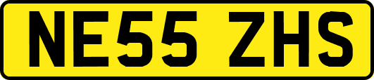 NE55ZHS