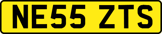 NE55ZTS