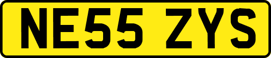 NE55ZYS