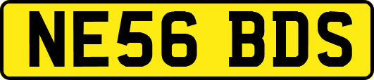 NE56BDS
