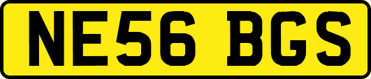 NE56BGS