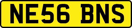 NE56BNS