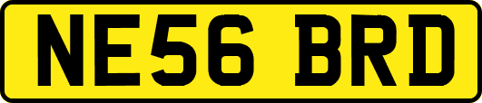 NE56BRD