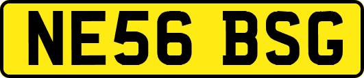 NE56BSG
