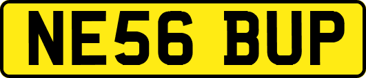 NE56BUP