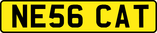 NE56CAT