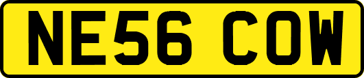NE56COW