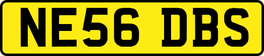 NE56DBS