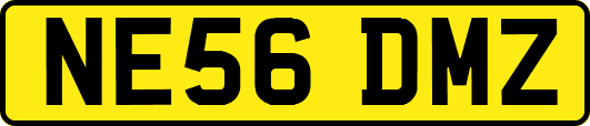 NE56DMZ