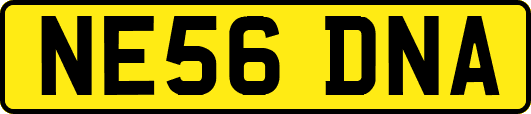 NE56DNA