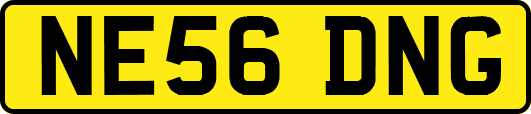 NE56DNG