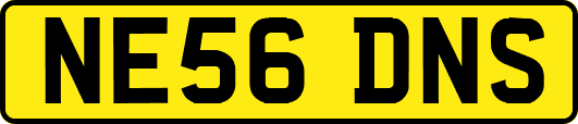 NE56DNS