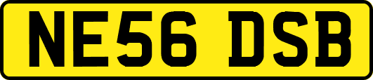 NE56DSB
