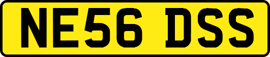NE56DSS