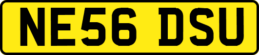 NE56DSU