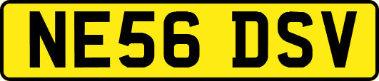 NE56DSV