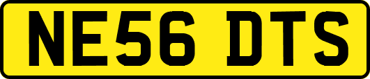 NE56DTS