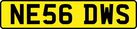 NE56DWS